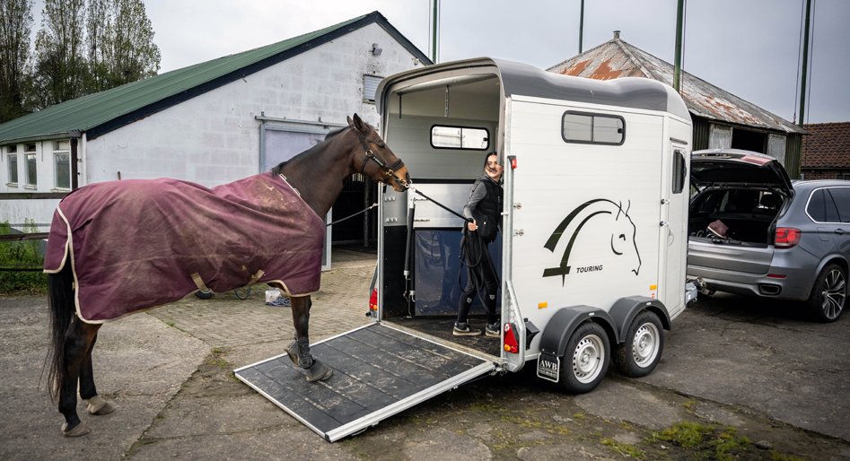 Een paard wordt een paardentrailer in geleid om naar een veilige locatie vervoerd te worden