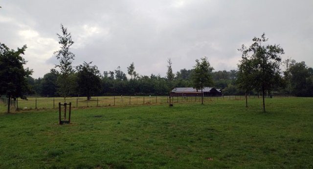 Weide in Bleiswijkse Zoom