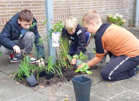Leerlingen doen de nieuwe plantjes in de grond