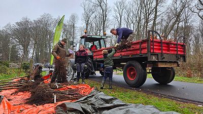 Uitdelen van bomen tijdens de Boomdeeldagen