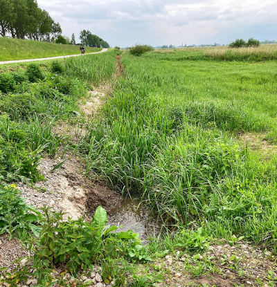 Schade aan de berm