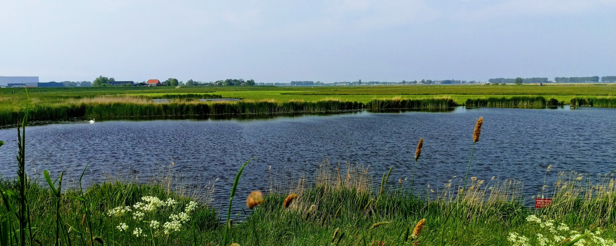 Genemuiden kolk Cellemuiden